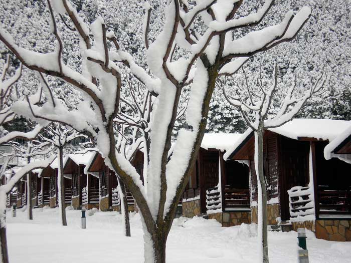 Bungalows Valle de Tena